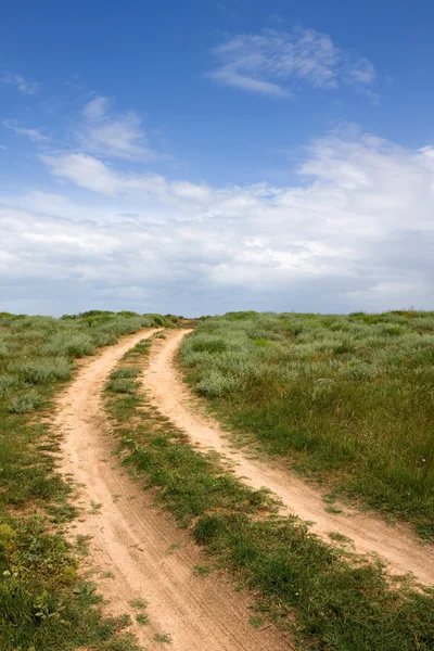 Landelijke weg in de steppe — Stockfoto