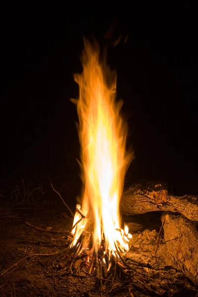 Plamen v noci — Stock fotografie