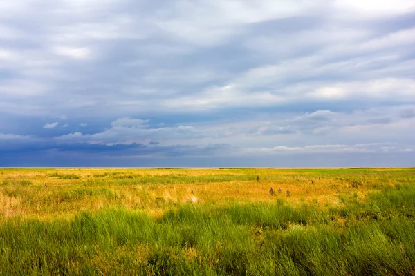Steppe landscape — Stock Photo, Image