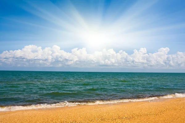 Sommar landskap vid havet — Stockfoto