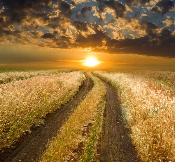 草原で日没への道 — ストック写真