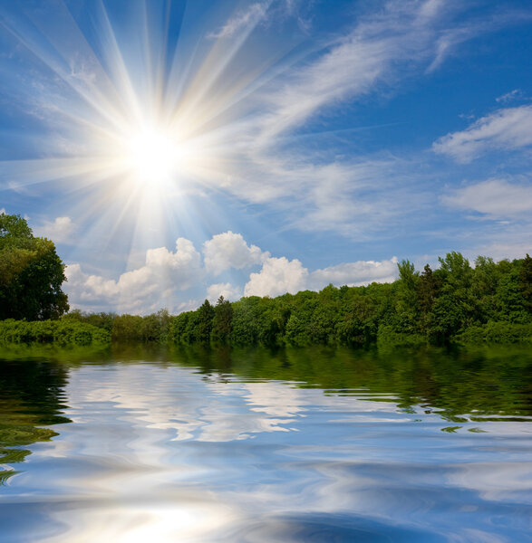 Nice summer landscape