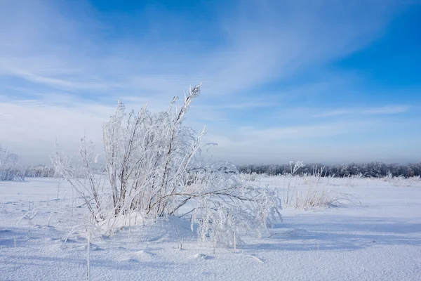 Campo delimitado por neve — Fotografia de Stock