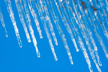 Icicles clipart