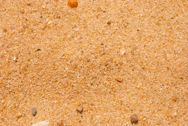 Sand macro texture. — Stock Photo, Image