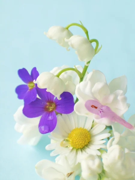 Λουλούδια - μακροεντολή — Φωτογραφία Αρχείου