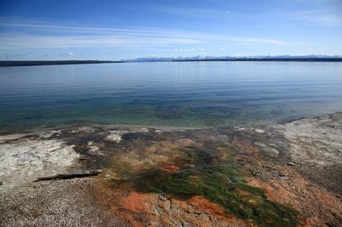 Yellowstone - Batı başparmak Şofben Havzası