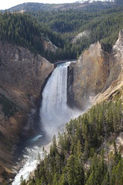 Yellowstone National Park - Lower Falls clipart