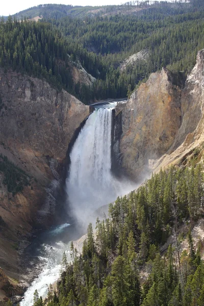 Parque Nacional de Yellowstone Lower Falls — Fotografia de Stock