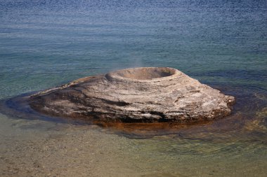 yellowstone Parkı - koni Şofben balıkçılık