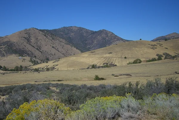 Californië heuvels — Stockfoto