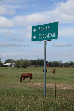 Horses Graze on Route 66 in Texas clipart