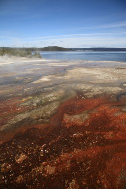 Yellowstone - Batı başparmak Şofben Havzası