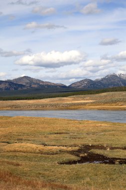 Yellowstone Landscape