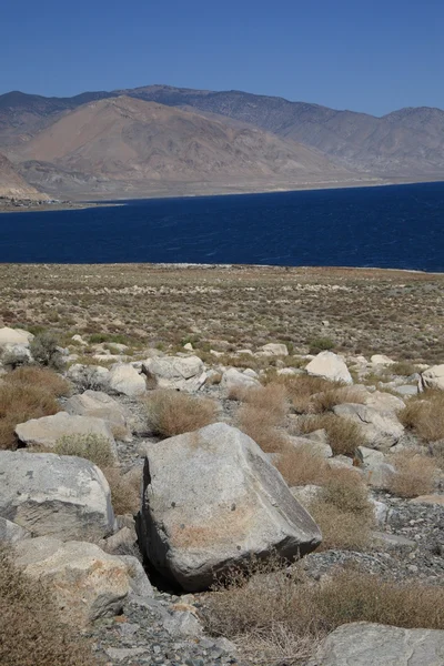 stock image Walker Lake