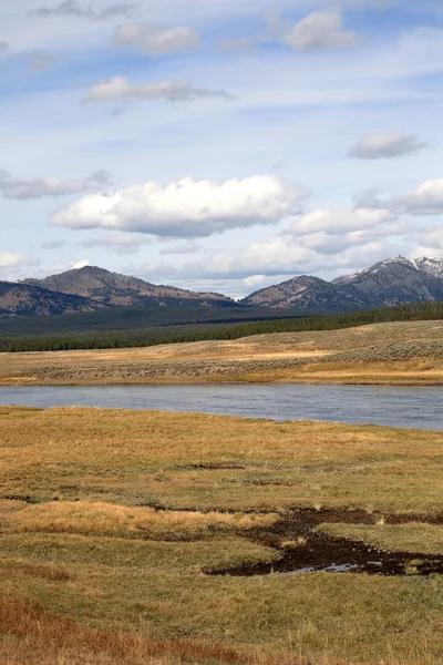 Yellowstone Landscape — Stok fotoğraf