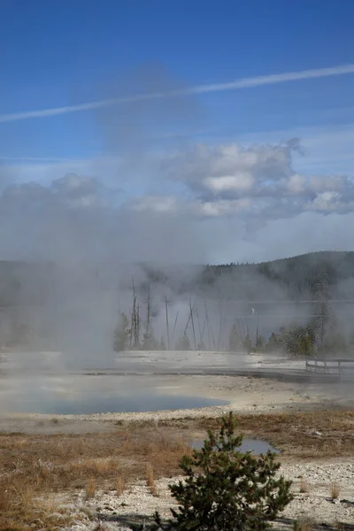 Yellowstone - west duim geyser basin — Stockfoto