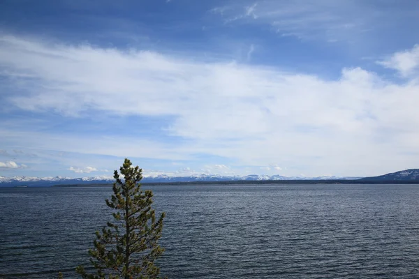 옐로스톤 호수 — 스톡 사진