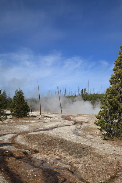 Yellowstone park - berghelling — Stockfoto
