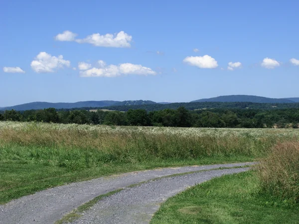 Groen veld en landweg — Stockfoto