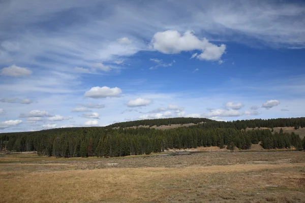 Yellowstone landskap — Stockfoto