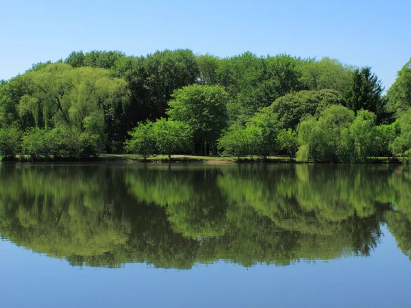 Pond Reflections — Stock Photo, Image