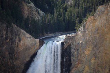 Yellowstone Millî Parkı - aşağı düşüyor