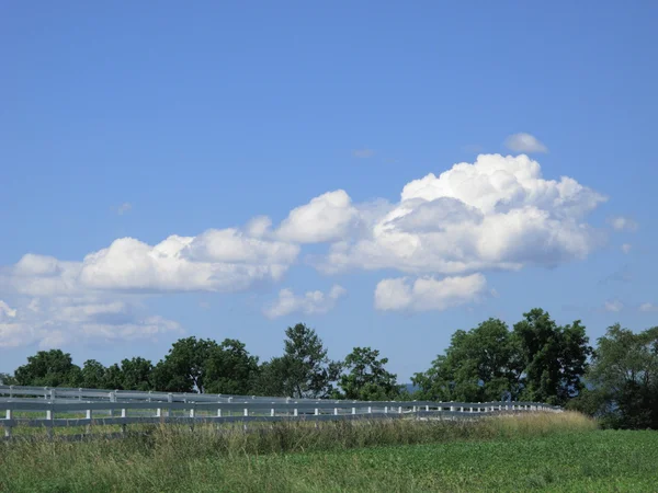 Rural Summer Landscape — Stock Photo, Image