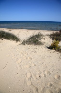 Seashore - Lake Huron clipart