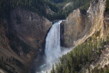 Yellowstone Millî Parkı - aşağı düşüyor