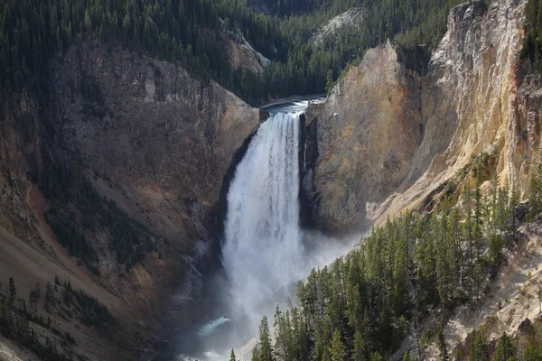 Parc national Yellowstone - Lower Falls — Photo
