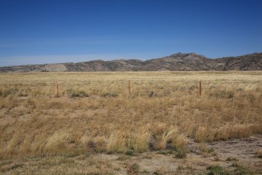 Wyoming Grassland - Great Plains clipart