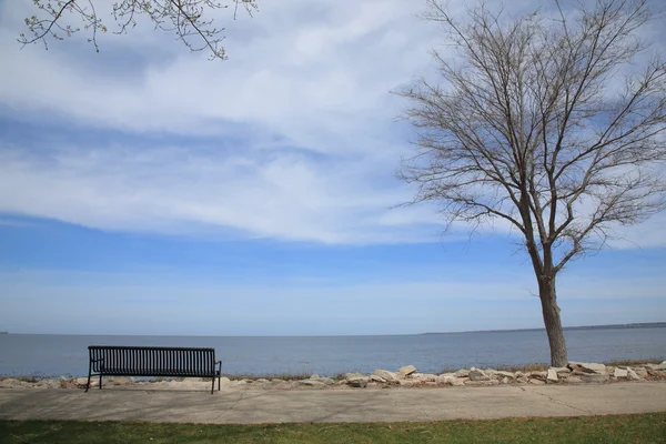 湖、公園のベンチ — ストック写真