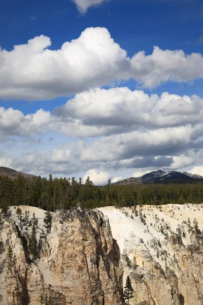 Gran Cañón de Yellowstone —  Fotos de Stock