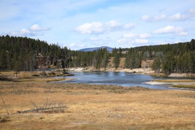 Yellowstone Landscape