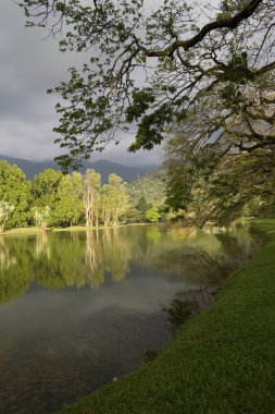 Lakeside görünümü