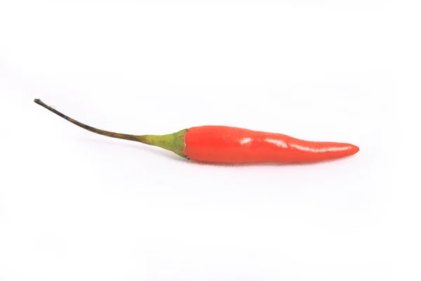 Kleine rode paprika — Stockfoto
