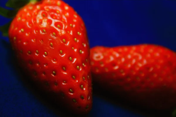 Φράουλες — Φωτογραφία Αρχείου
