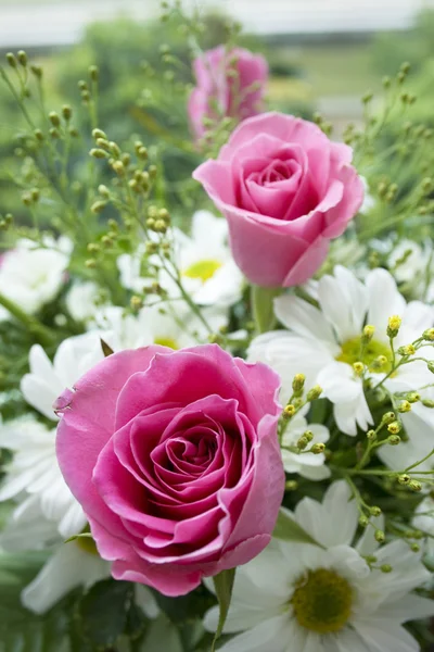 Ροζ τριαντάφυλλα και Μαργαρίτα — Φωτογραφία Αρχείου