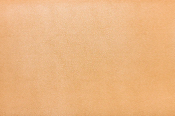 High resolution texture. Background. Skin. — Stock Photo, Image