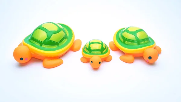 stock image Ocean Green Turtles