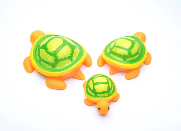 stock image Ocean Turtles