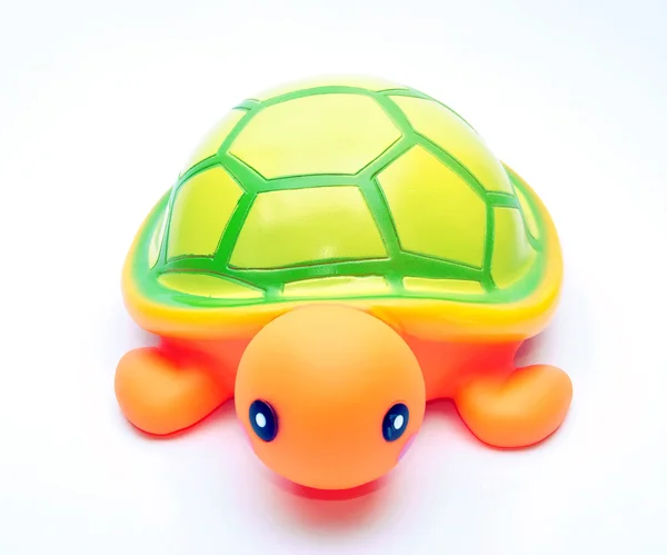 stock image Green Turtle