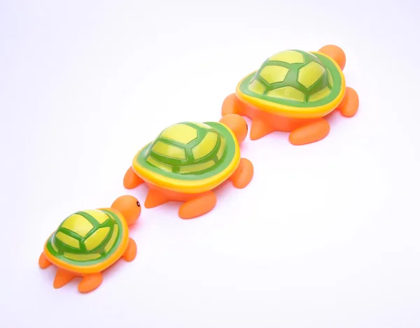 stock image Turtles