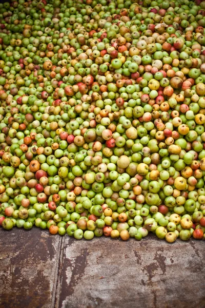 Kolekcja ogromnej ilości jabłek — Zdjęcie stockowe