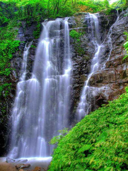 Wasserfall und Pflanzen — Stockfoto