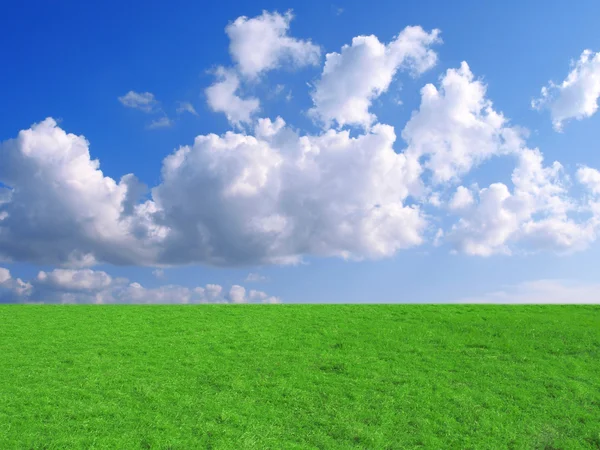 Cielo azul y hierba —  Fotos de Stock