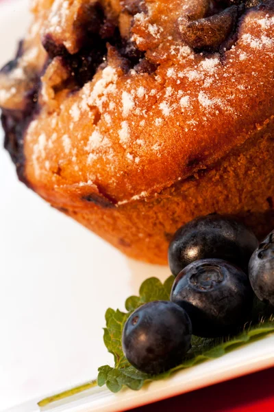 Blueberry muffin on a square plate — Stock Photo, Image