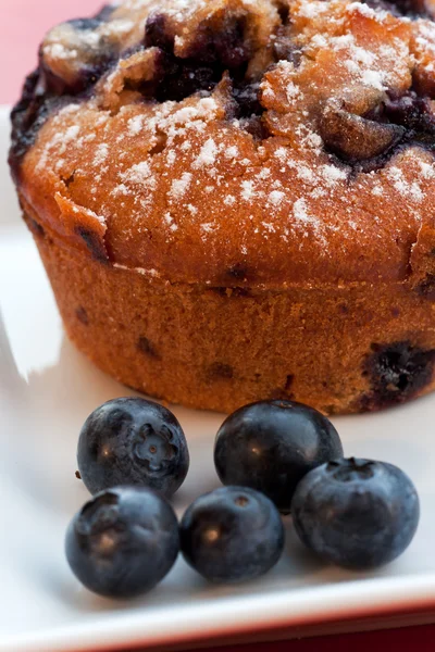 Blueberry muffin on a square plate — Stock Photo, Image