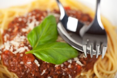 Teller mit spagetti Bolognese und Basilikumblatt